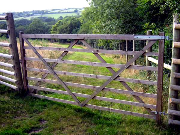 DEER GATE WITH TALL POST & RAIL TO THE SIDES