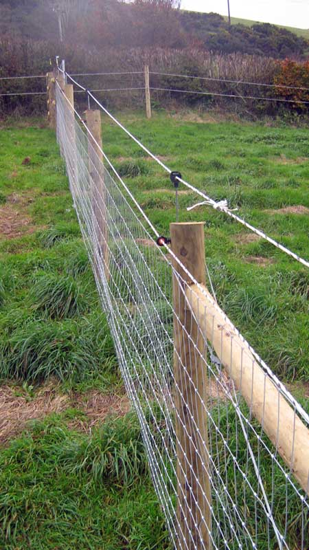 EQUESTRIAN SAND SCHOOL FENCING - POST RAIL FULL SIZE ARENA