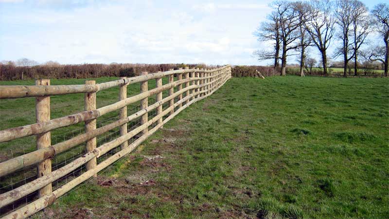 POST AND RAIL FENCING