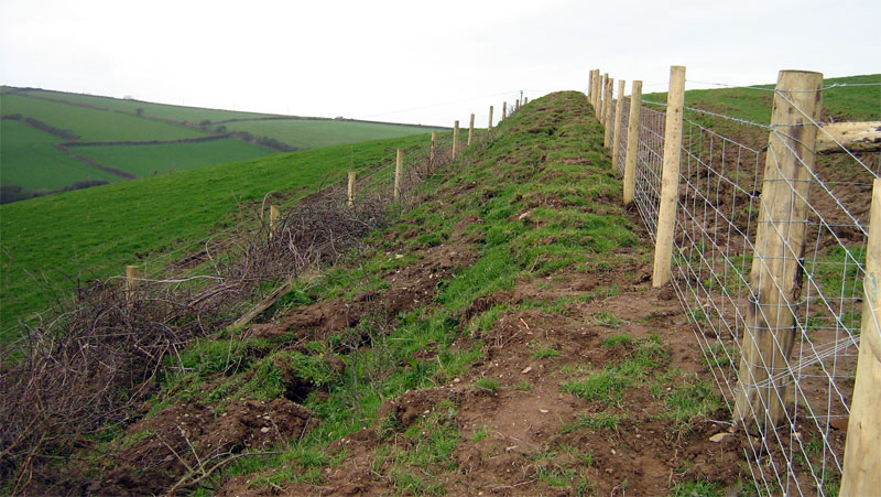 STOCK FENCING